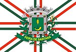 Bandeira de Feira de Santana